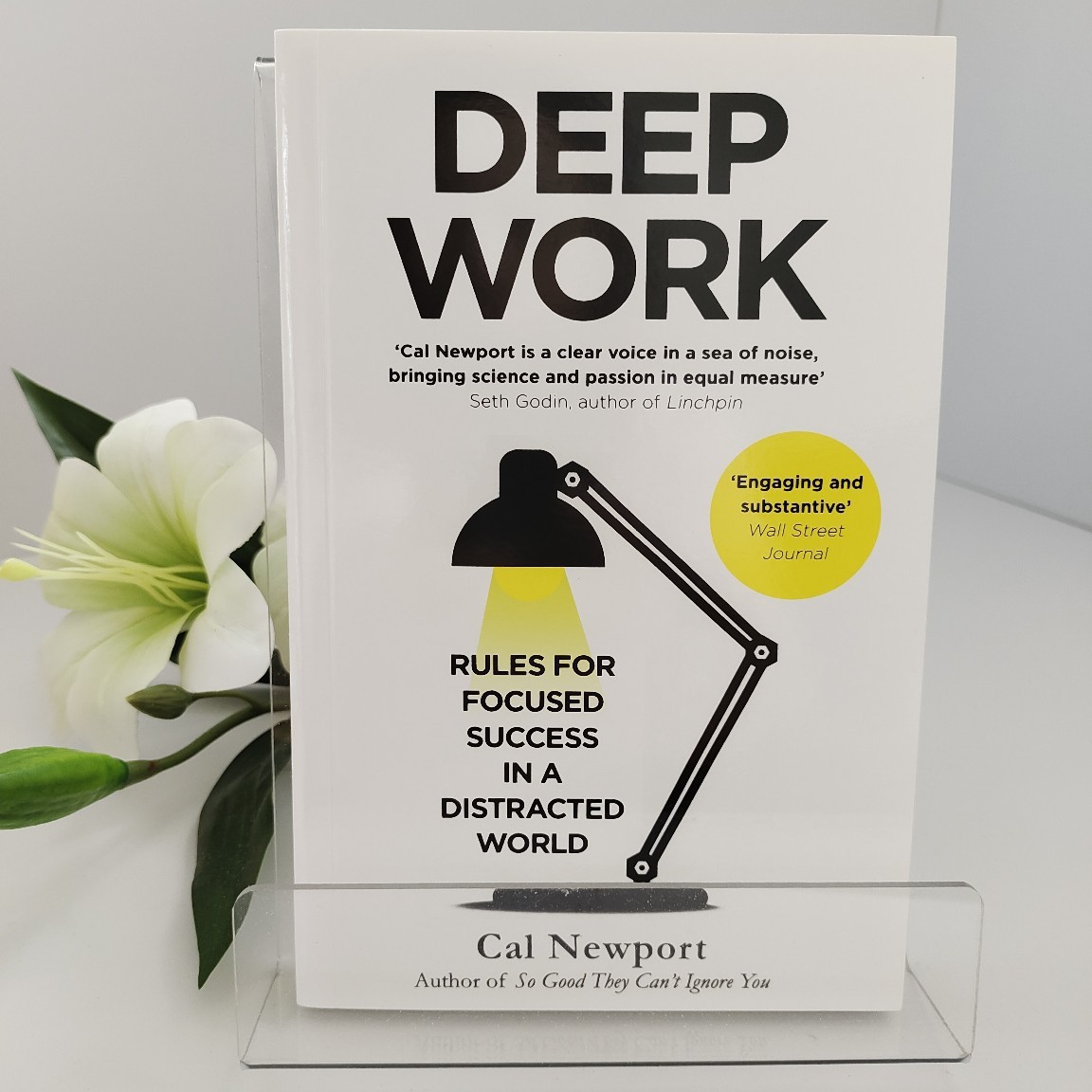 Renewable Energy Resources - 딥워크(Deep Work) - 칼 뉴포트 |